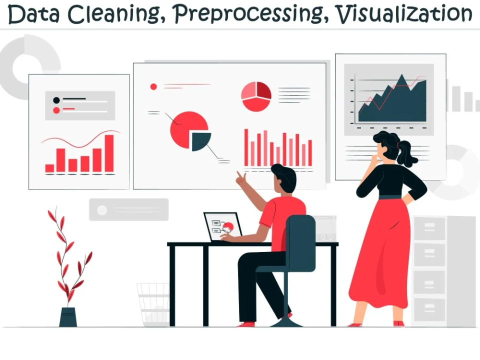 Data Cleaning and Preprocessing Image